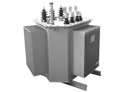 S20-M.RL-100-10-NX2（标准化）油浸式变压器