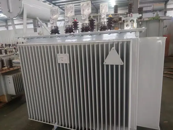 黄色变态网站入口足交 S20-M-1600kVA/35kV油浸式变压器
